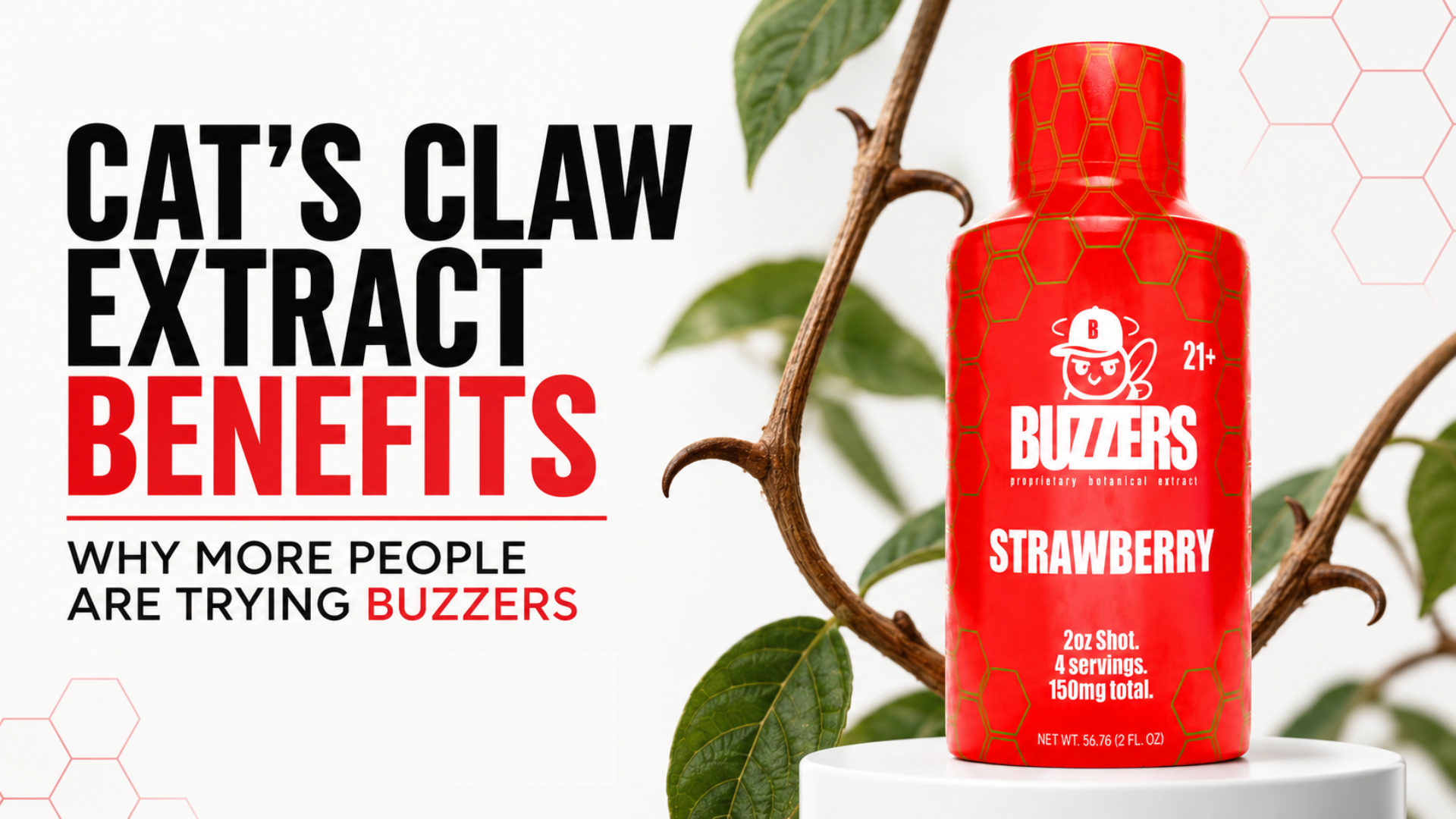 Cat’s Claw Extract Benefits: Why More People Are Trying Buzzers - Blog
